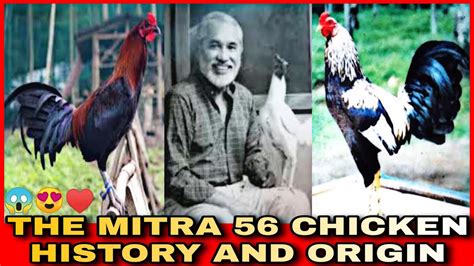 Perfection roundhead vs mitra 56 spar no.2 .